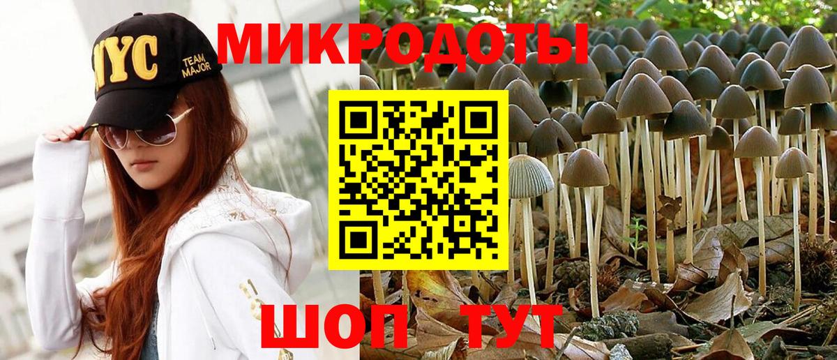 Псилоцибиновые грибы ЛСД Слободской